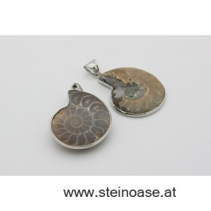 Anhänger Fossil / Ammonite